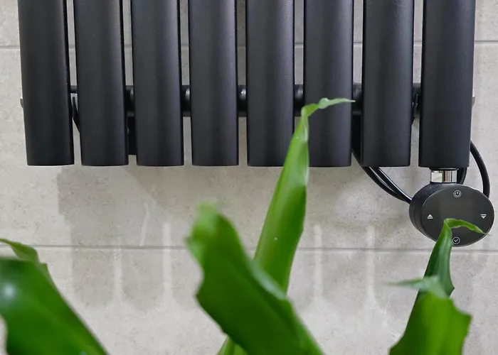 Muenz Franz Πούλα