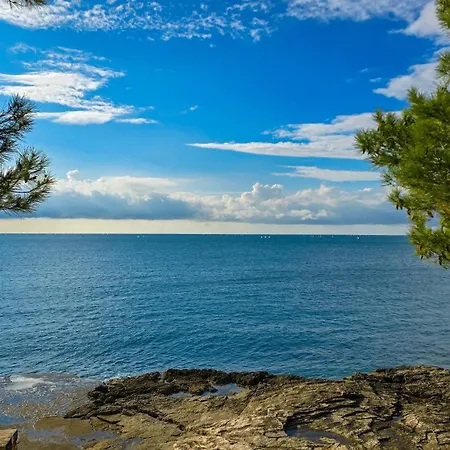 Muenz Franz * 풀라