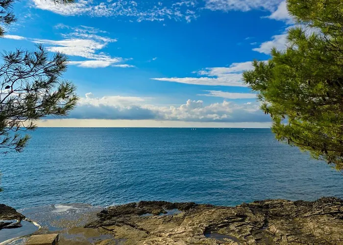 Muenz Franz * 풀라